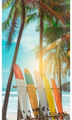 Veer Decor Surfs Up Wall Mural