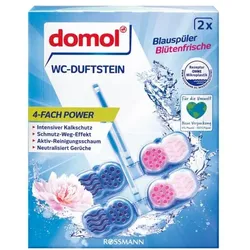 domol 2x WC-Duftsteine 4-fach Power »Blauspüler Blütenfrische« blau