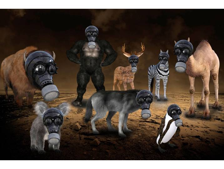 Fototapete PAPERMOON Gasmasken Tiere , bunt, B:5m L:2,8m, Vlies, Tapeten, Fototapete