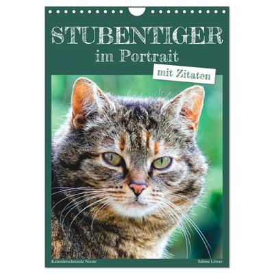 Stubentiger im Portrait (Wandkalender 2027 DIN A4 hoch), CALVENDO Monatskalender
