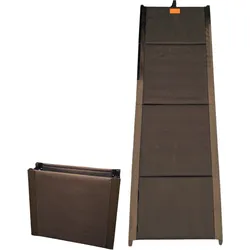 Robot Trolley Rampe