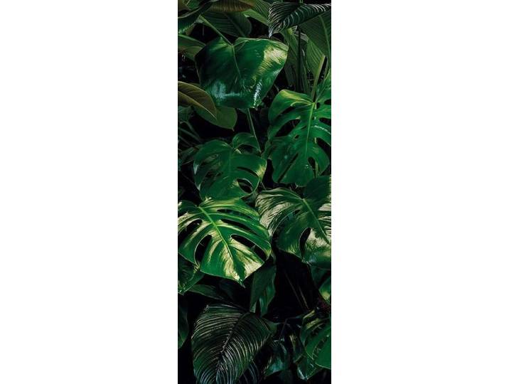 Fotobehang - Tropical Wall 100x250cm - Vliesbehang