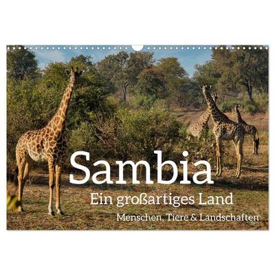 Sambia - ein großartiges Land (Wandkalender 2026 DIN A3 quer), CALVENDO Monatskalender