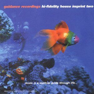 Various - Guidance Recordings Hi-Fidelit - Preis vom 10.10.2026 11:48:34 h