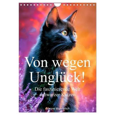 Von wegen Unglück! - Die faszinierende Welt schwarzer Katzen (Wandkalender 2027 DIN A4 hoch), CALVENDO Monatskalender