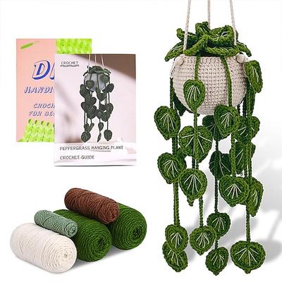 Häkelset für Anfänger Häkelsatz Anfänger Häkelsatz für komplette Anfänger Erwachsene Häkeln Strickset mit Schritt-für-Schritt Video-Tutorials Valentinstag Geschenk