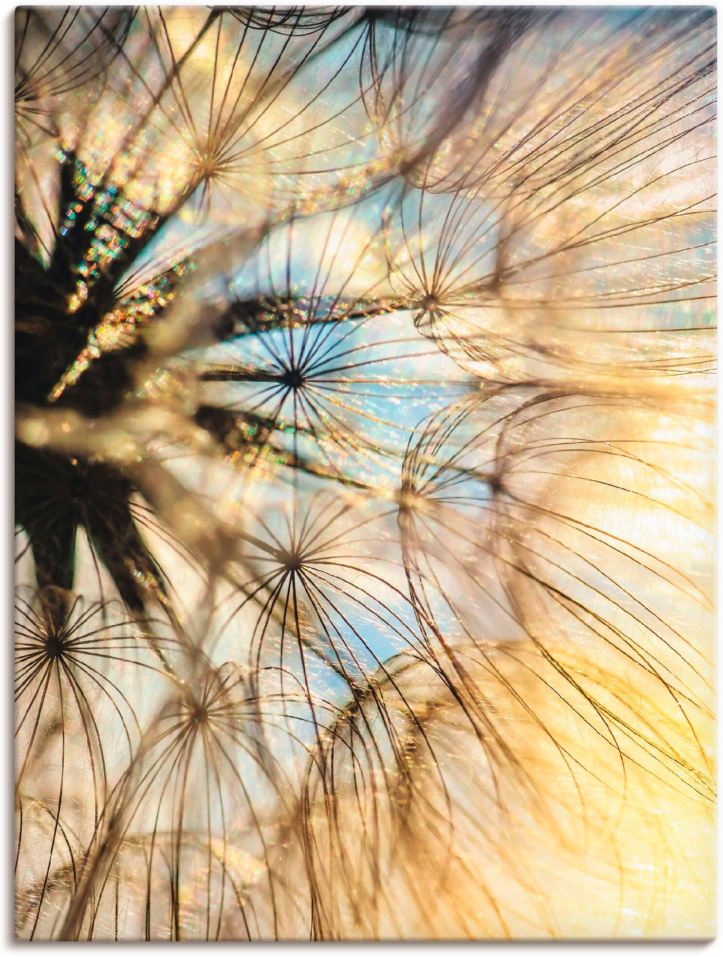 Leinwandbild ARTLAND "Pusteblume Poesie", gold (farbe bild(er): goldfarben), B:60cm H:80cm, Bilder, Leinwandbild, auf Holzrahmen gespannt farbe bild(er): goldfarben B/H/T: 60cm x 80cm, Leinwandbild Blumen, 1 Stk.