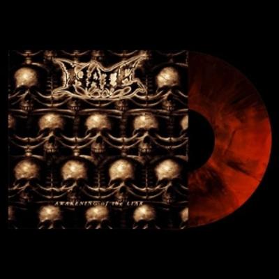 Awakening Of The Liar - Hate, Vinyl