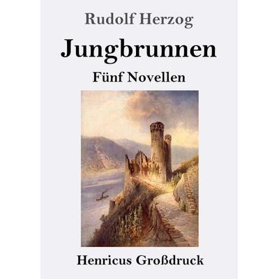 Jungbrunnen (Großdruck), Taschenbuch von Rudolf Herzog, BoD - Books on Demand, 978-3-8478-3823-4