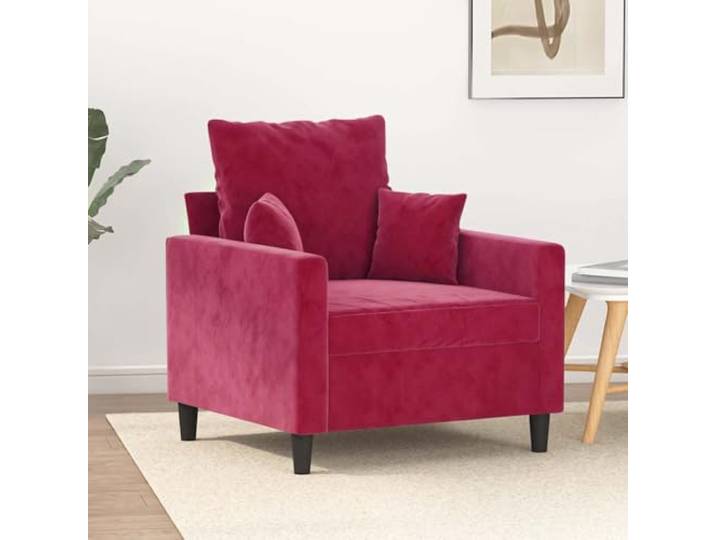 HEFZGDB Weinroter Samt Sessel 60 cm Breite mit Metallgestell für Wohnzimmer Bequem Polsterung Sitzfläche Armlehnen Modernes Design Hingucker Entspannung Lesen Fernsehen