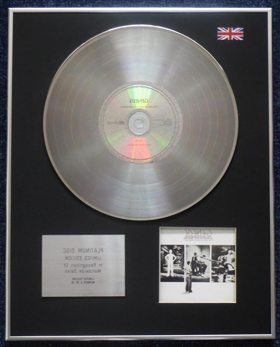 Platinum CD Presentatie Muziek Memorabilia Muurdecoratie Limited Edition Zwart 50.8 x 40.64 cm