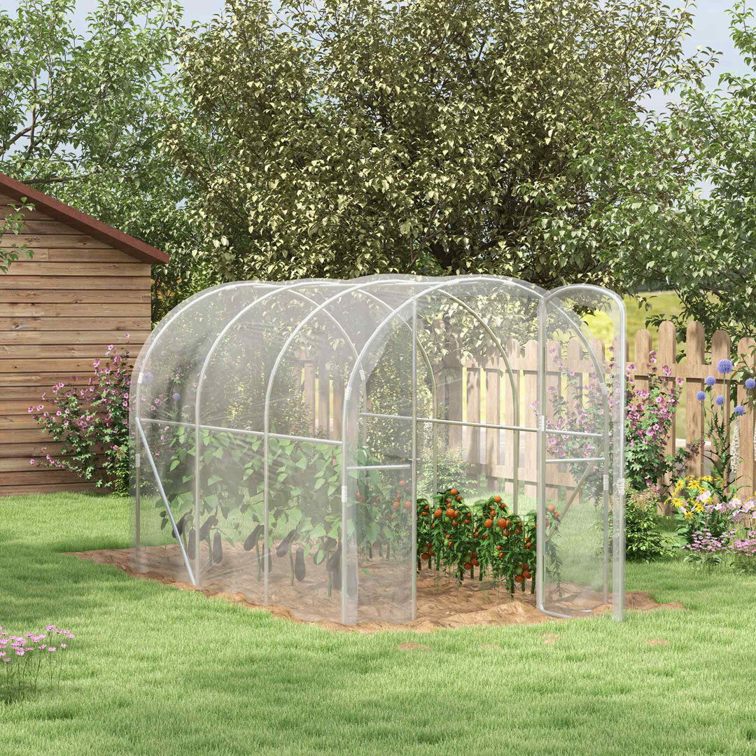 Dakota Fields Brekkyn 3 x 2 x 2m Polytunnel Greenhouse Hinged Door PE Cover Clear Clear 195cm H X 295cm W X 195cm D