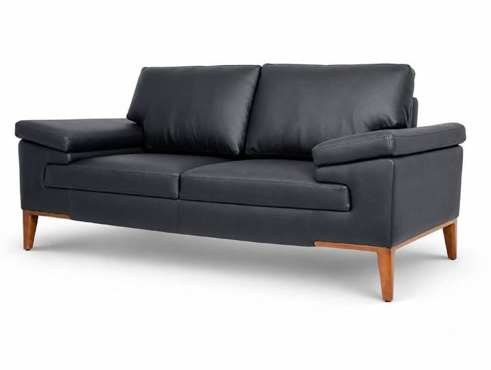 Xlmoebel 3-Sitzer Schwarzer Wohnzimmer Zweisitzer Designer Ledercouch Polstermöbel, 1 Teile, Mit Kissen, Wasserabweisend
