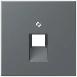Jung Abdeckung für IAE/UAE LC 969-1 UA 202