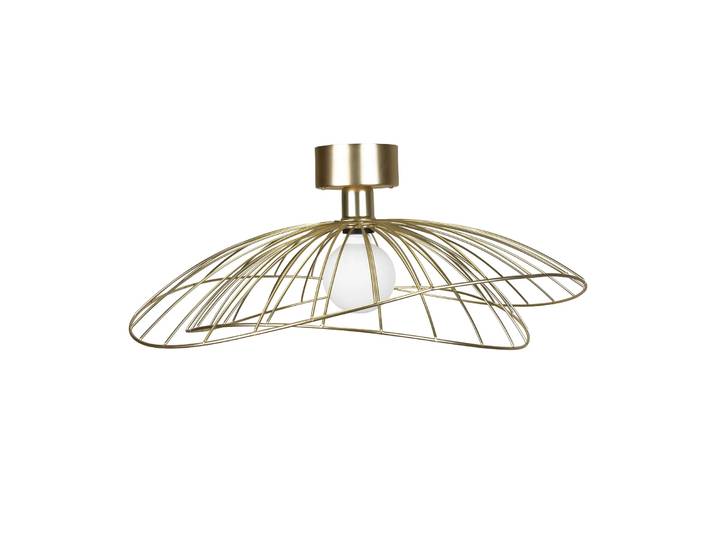 Globen Lighting Plafonnier Ray Laiton brossé