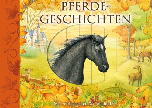 Dorling Kindersley Verlag - Pferdegeschichten: Mit zauberhaften Wandelbildern - Preis vom 04.10.2026 03:51:26 h