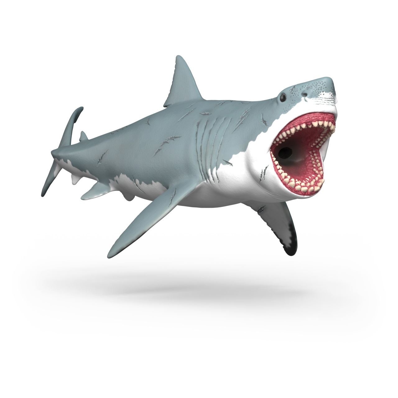 Schleich Dinosaurs Megalodon