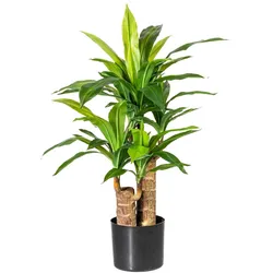 CREATIV green künstliche Pflanze Dracena ca 80cm