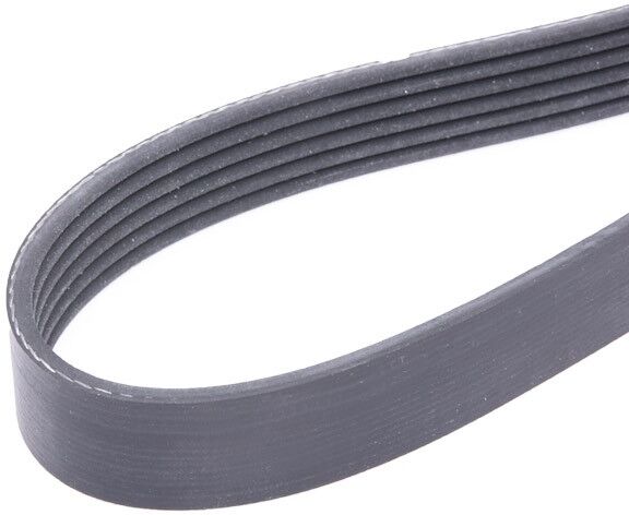 INA FB 6PK905 Serpentine belt