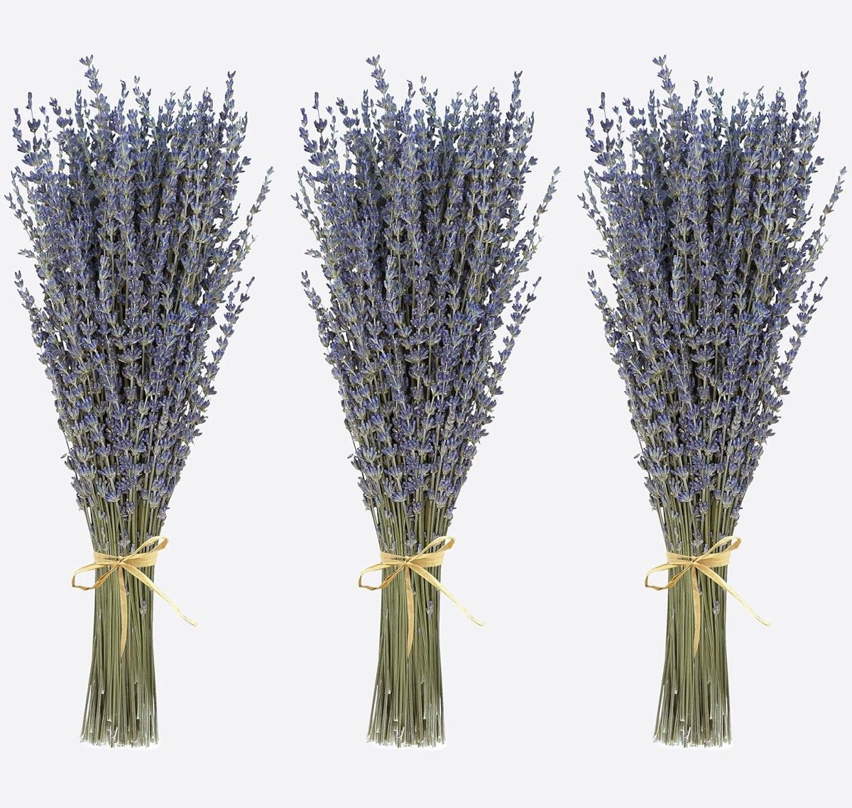 Gedroogde Lavendel - Natuurlijke Paarse Bloemen voor Huisdecoratie - 300 Stelen