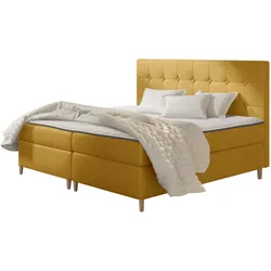 BOXBETT Avanti - H3