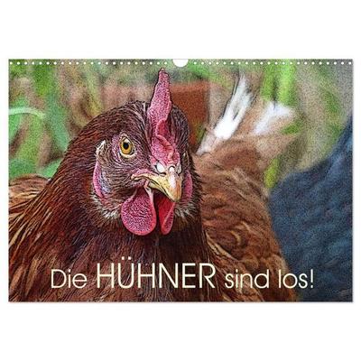Die Hühner sind los! (Wandkalender 2027 DIN A3 quer), CALVENDO Monatskalender