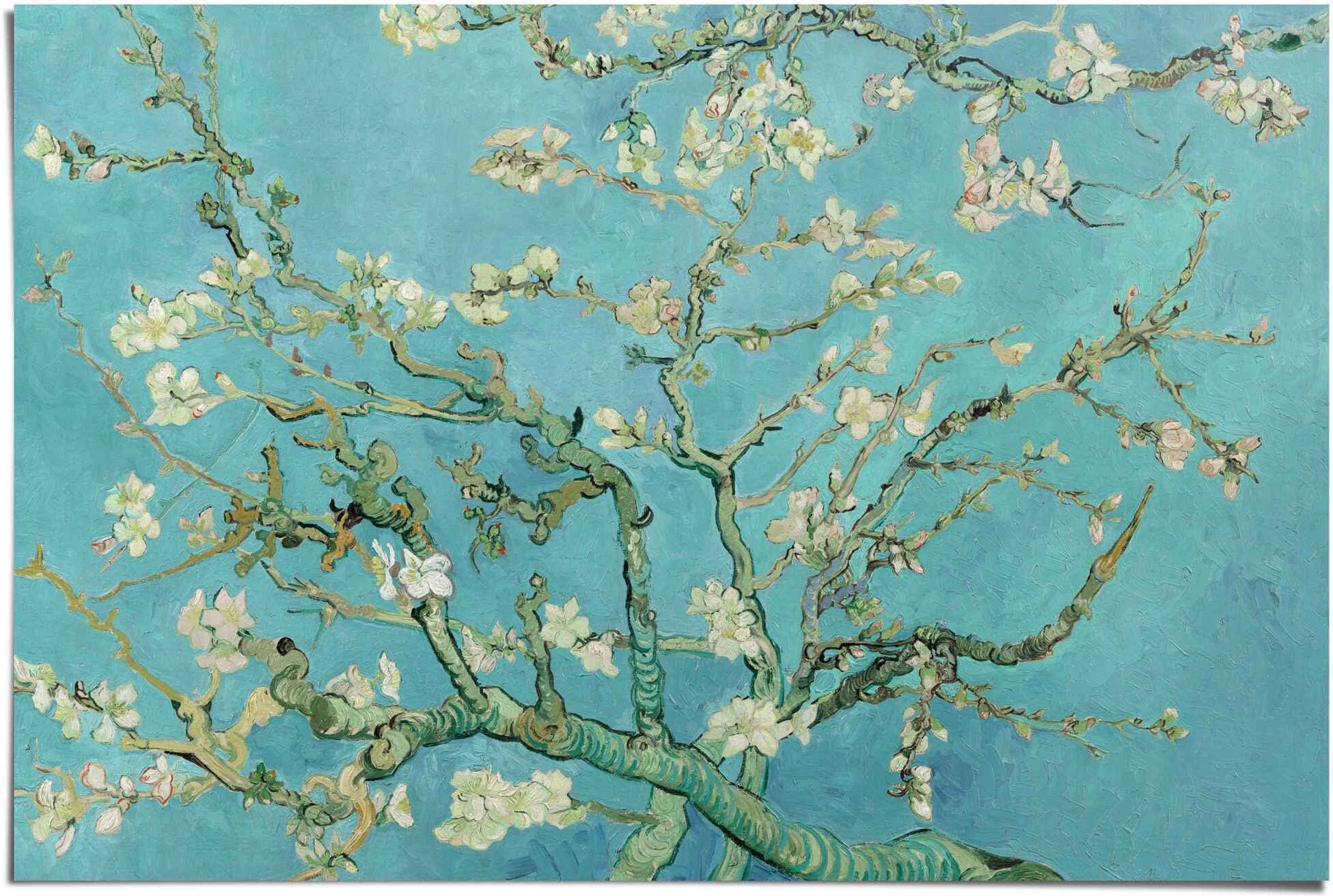 Reinders! Poster REINDERS "Poster Mandelblüte Vincent van Gogh", blau (farbe bild(er): blau), B:91,5cm H:61cm, Papier, Bilder, Poster farbe bild(er): blau B/H/T: 91,5cm x 61cm, Blumen, 1 Stk.