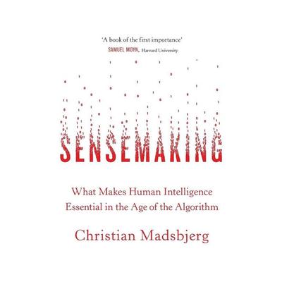 Sensemaking, Taschenbuch von Christian Madsbjerg, Little, Brown Books for Young Readers, 978-0-349-14225-8