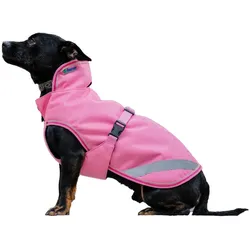 Bucas Freedom, Hundebekleidung