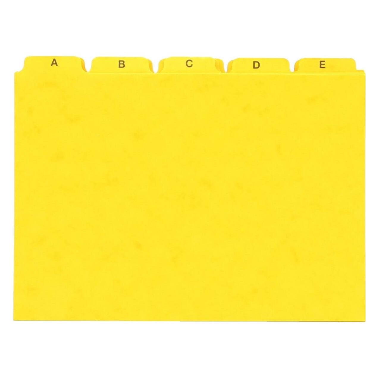 Pagna Kartei-Register A5 (A5) (25251-05)
