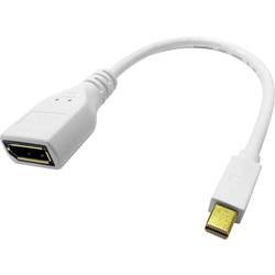 ROLINE DisplayPort Kabeladapter, DP BU - Mini DP ST, 0,15 m 12.03.3163