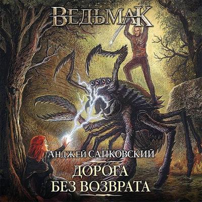 Doroga bez vozvrata - Andrzej Sapkowski, Audio, 9785171258597