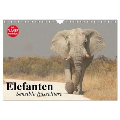 Elefanten. Sensible Rüsseltiere (Wandkalender 2027 DIN A4 quer), CALVENDO Monatskalender