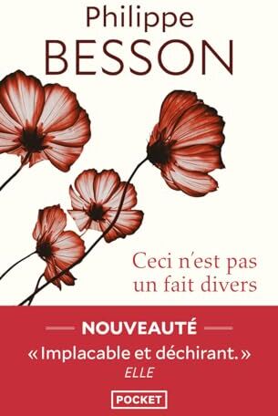 Philippe Besson - Ceci n'est pas un fait divers - Preis vom 13.10.2026 19:28:25 h