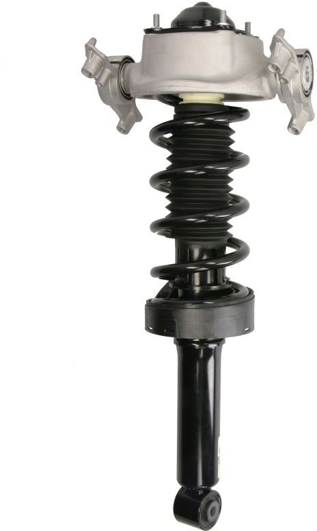 Kit de suspension, ressorts/amortisseurs ARNOTT EUROPE C-3552