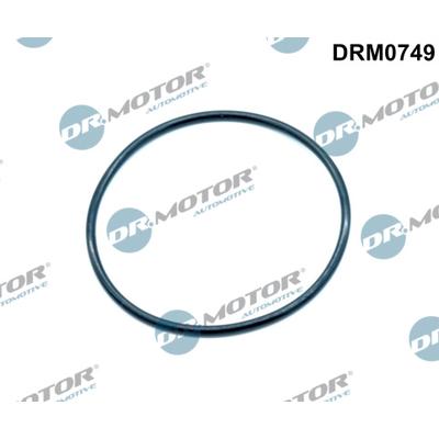 DR.MOTOR AUTOMOTIVE Dichtung, AGR-Ventil DRM0749 für VW