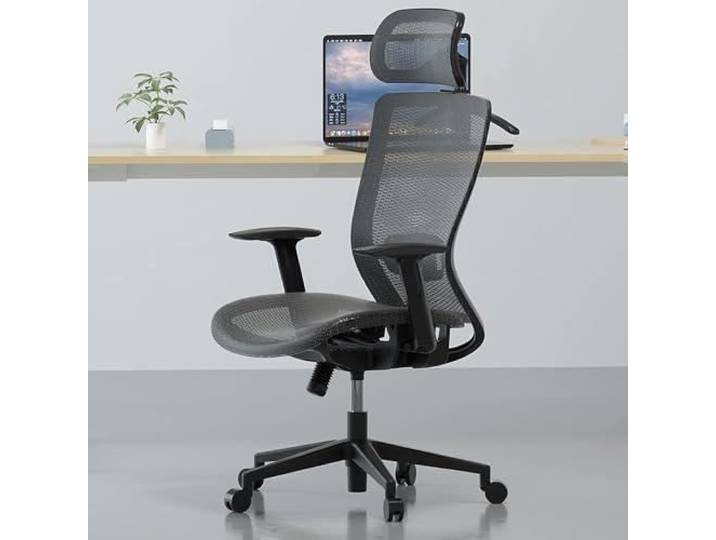 FLEXISPOT OC3B Fauteuil de Bureau Chaise de Bureau Pivotant Réglable en Hauteur avec Appui-tête Appui Lombaire Gris