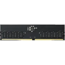 PNY 32GB DDR5 4800MHz DIMM Speicher (1 x 32GB, 4800 MHz, DDR5-RAM, DIMM), RAM