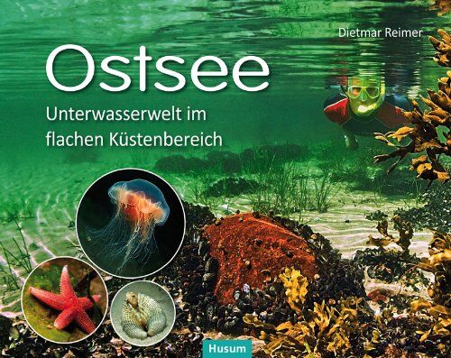 Dietmar Reimer - Ostsee: Unterwasserwelt im flachen Küstenbereich Kattegatt - Kleiner Belt - Westliche Ostsee - Preis vom 09.10.2026 07:28:09 h