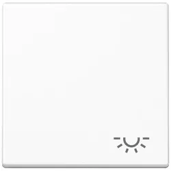 Jung Wippe Symbol LICHT aws A 590 L WW