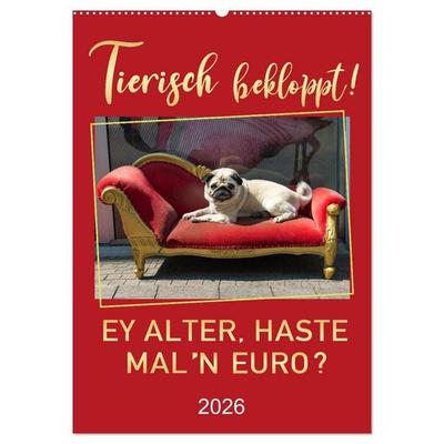 Tierisch bekloppt! (Wandkalender 2026 DIN A2 hoch), CALVENDO Monatskalender