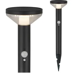 Maclean, Gartenbeleuchtung, Solar LED Lampe (220 lm, IP44)
