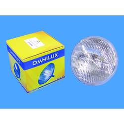Omnilux WFL Halogen Lichteffekt Leuchtmittel 230 V GX16d 300 W Weiß dimmbar 88125206