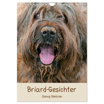 Briard-Gesichter (Wandkalender 2027 DIN A4 hoch), CALVENDO Monatskalender