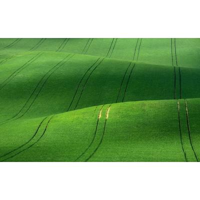 Fototapete PAPERMOON "Felder", bunt, B:3m L:2,23m, Vlies, Tapeten