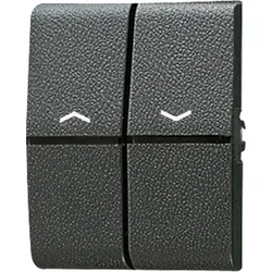 Jung Wippe Symbole/Lichtleiter 805 P