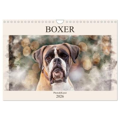 Boxer Photo&Kunst (Wandkalender 2026 DIN A4 quer), CALVENDO Monatskalender