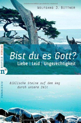 Bittner, Wolfgang J. - Bist du es, Gott?: Liebe, Leid, Ungerechtigkeit – Biblische Steine auf dem Weg durch unsere Zeit - Preis vom 30.09.2026 09:01:18 h