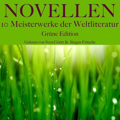 Novellen: Zehn Meisterwerke der Weltliteratur - Leo N. Tolstoi,Edgar Allan Poe,Joseph Roth,Arthur Schnitzler,Franz Kafka, Audio, 9783754501351