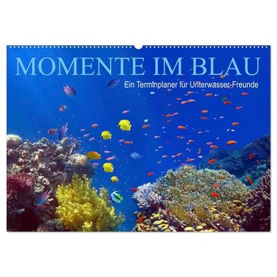 Momente im Blau - Ein Terminplaner für Unterwasser-Freunde (Wandkalender 2026 DIN A2 quer), CALVENDO Monatskalender